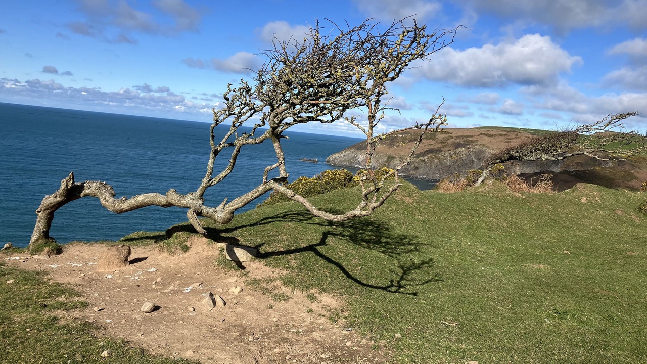 Photo of Others in Dinas Cross