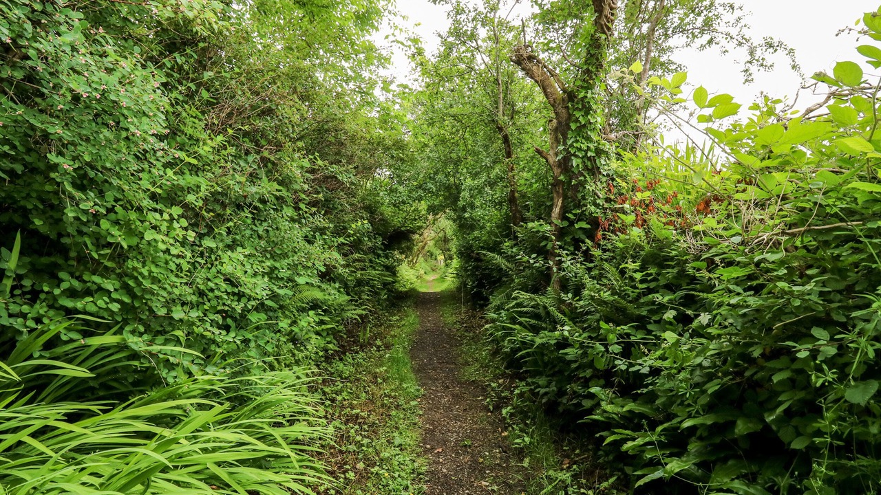 Photo of Others in Dinas Cross