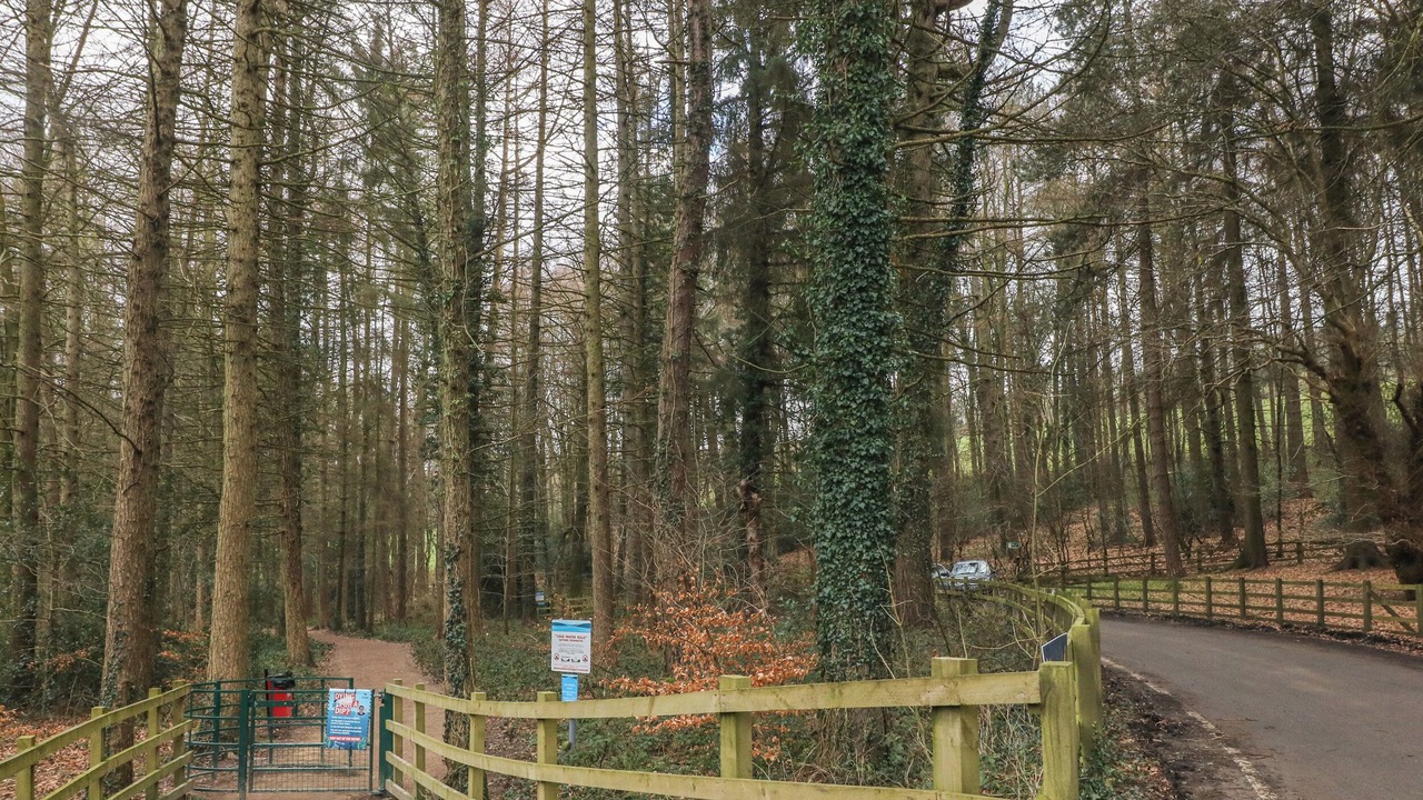 Photo of Others in Hoylandswaine