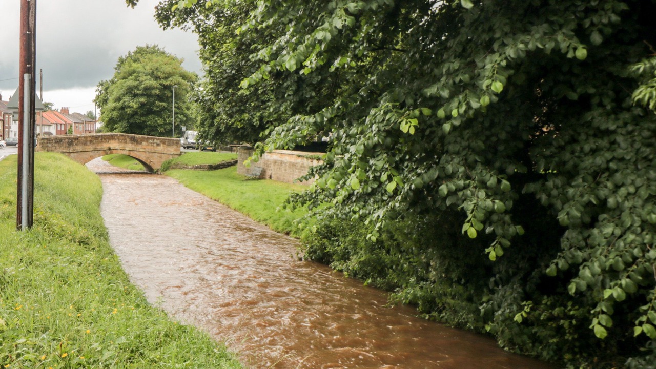 Photo of Others in Swainby