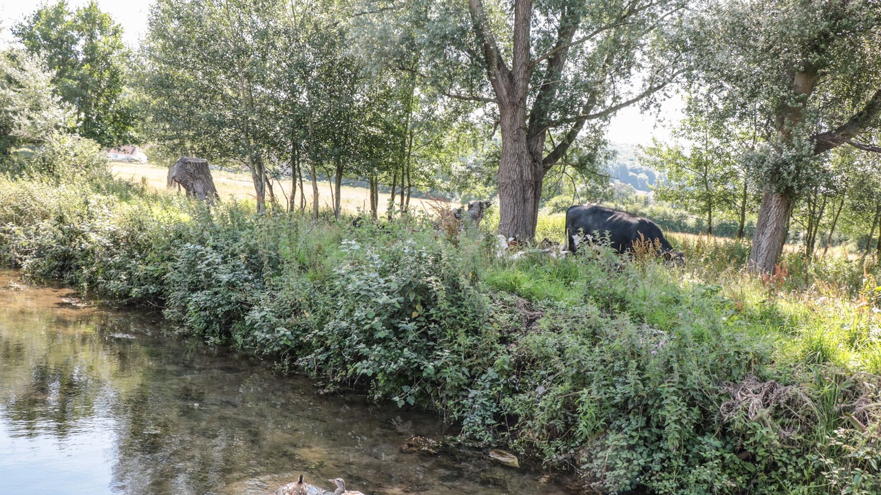 Photo of Others in Banwell