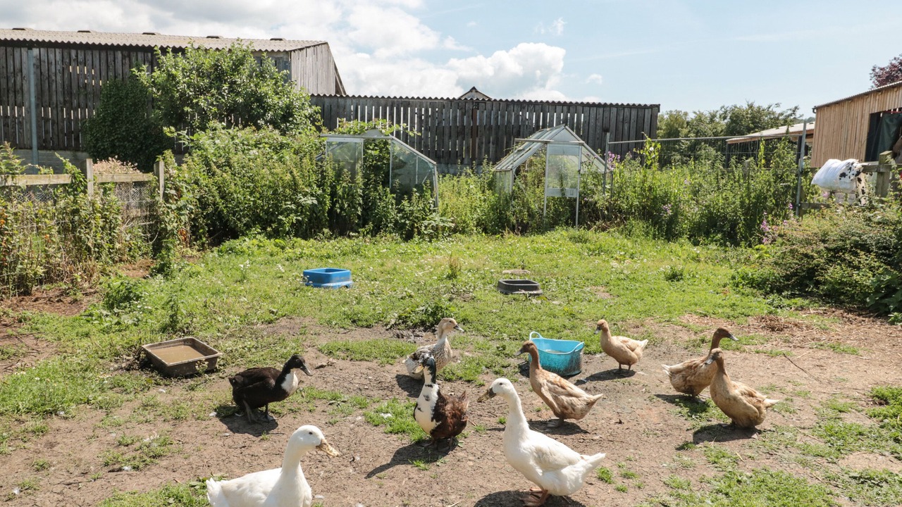 Photo of Others in Banwell