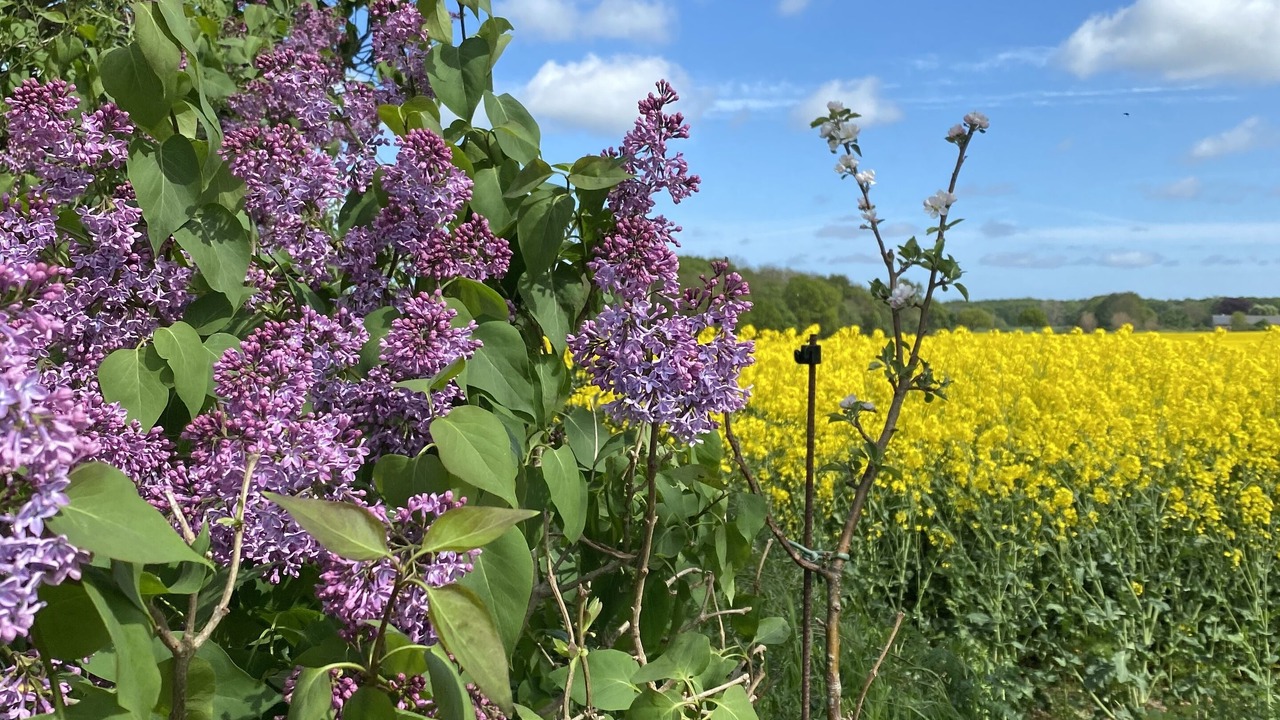 Photo of Outdoor in Ullerslev