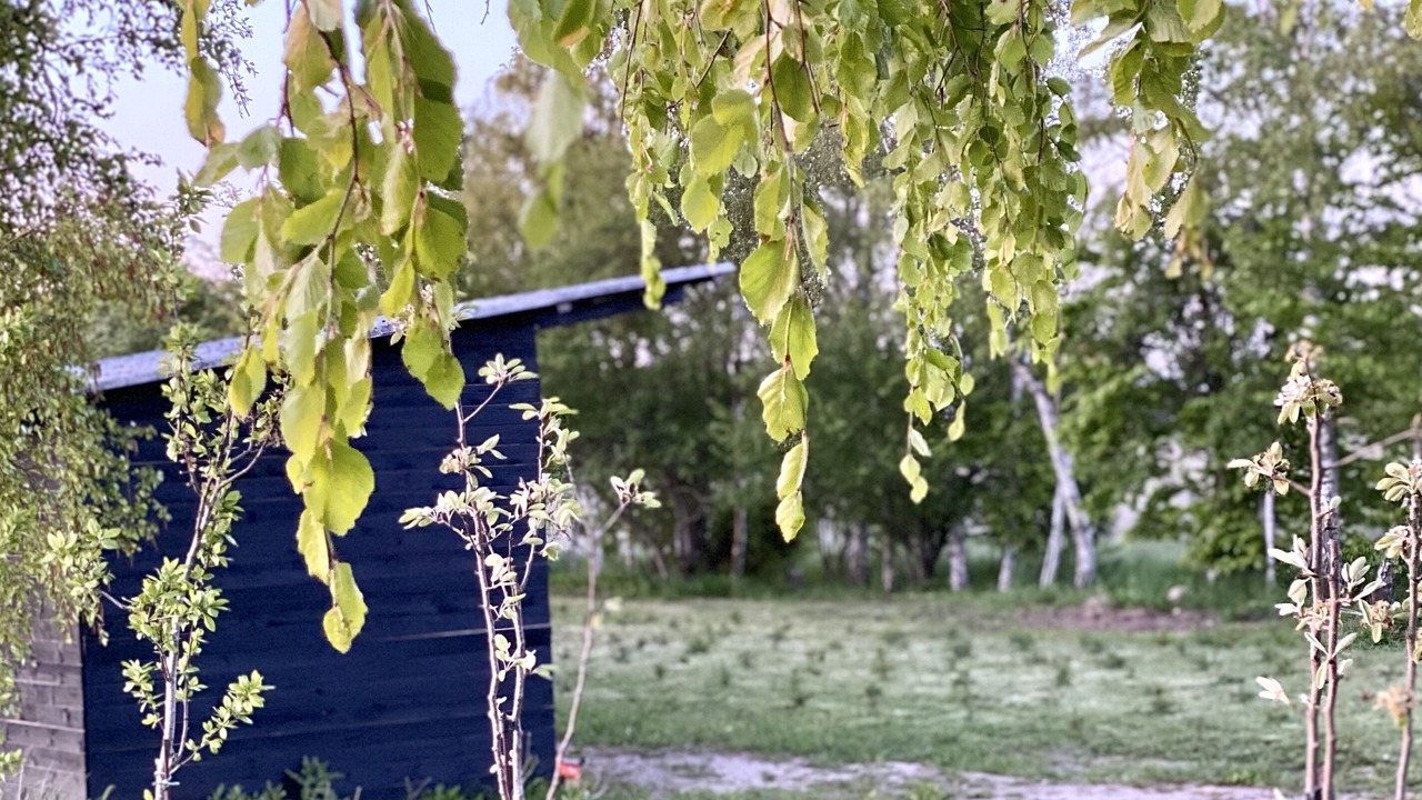 Photo of Outdoor in Ullerslev