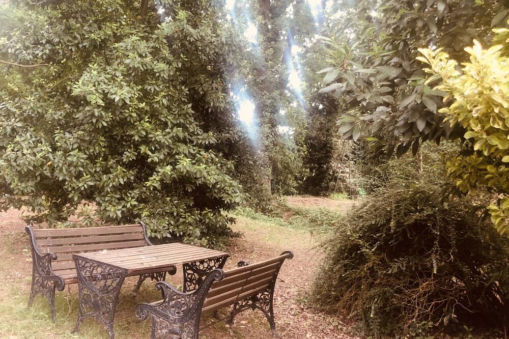 Photo of Outdoor in Arthon-en-Retz