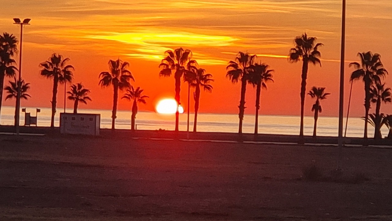 Photo of Outdoor in Burriana