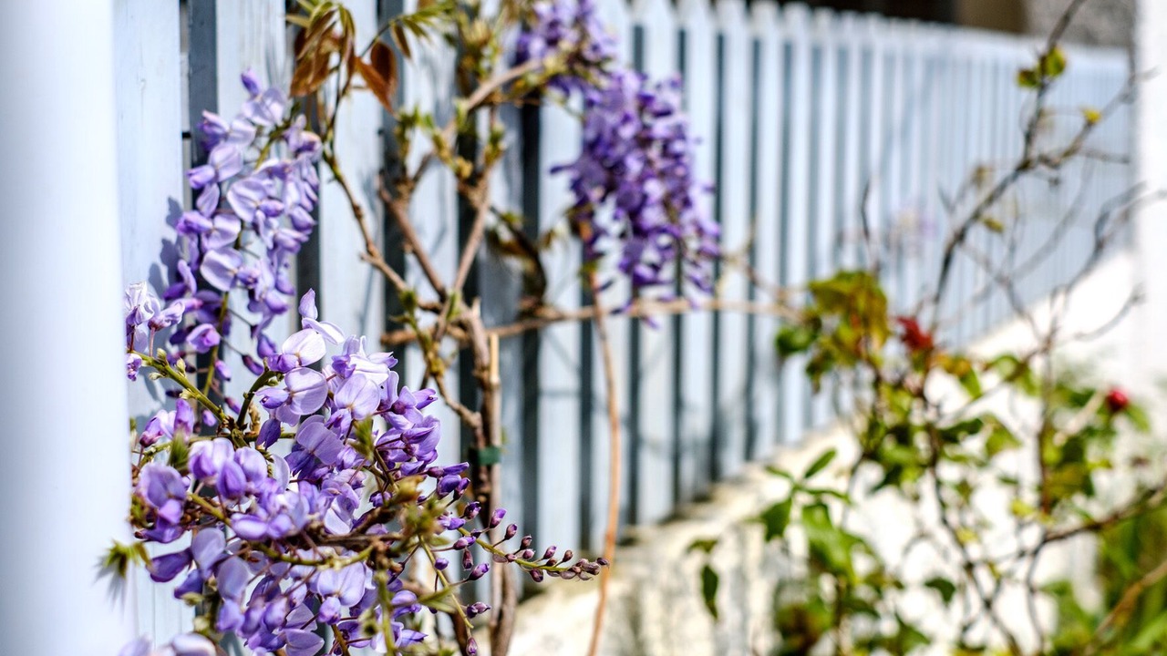 Photo of Others in Rock