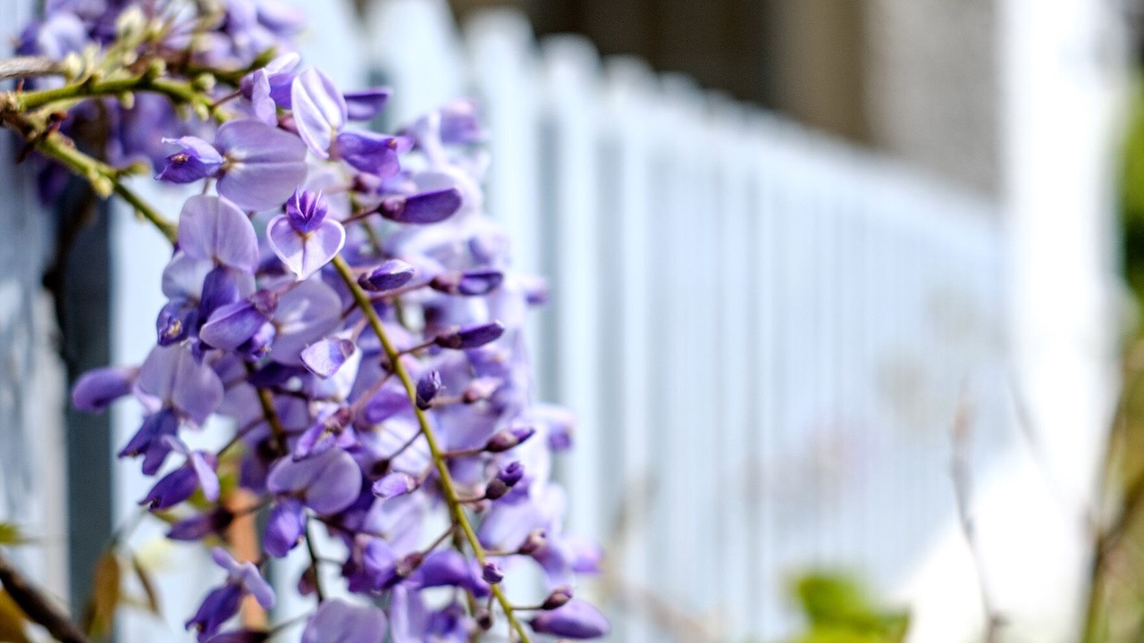 Photo of Others in Rock