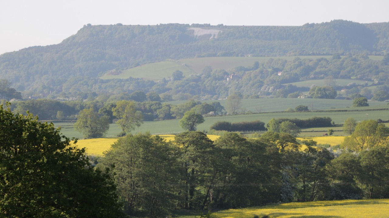 Photo of Others in Malton