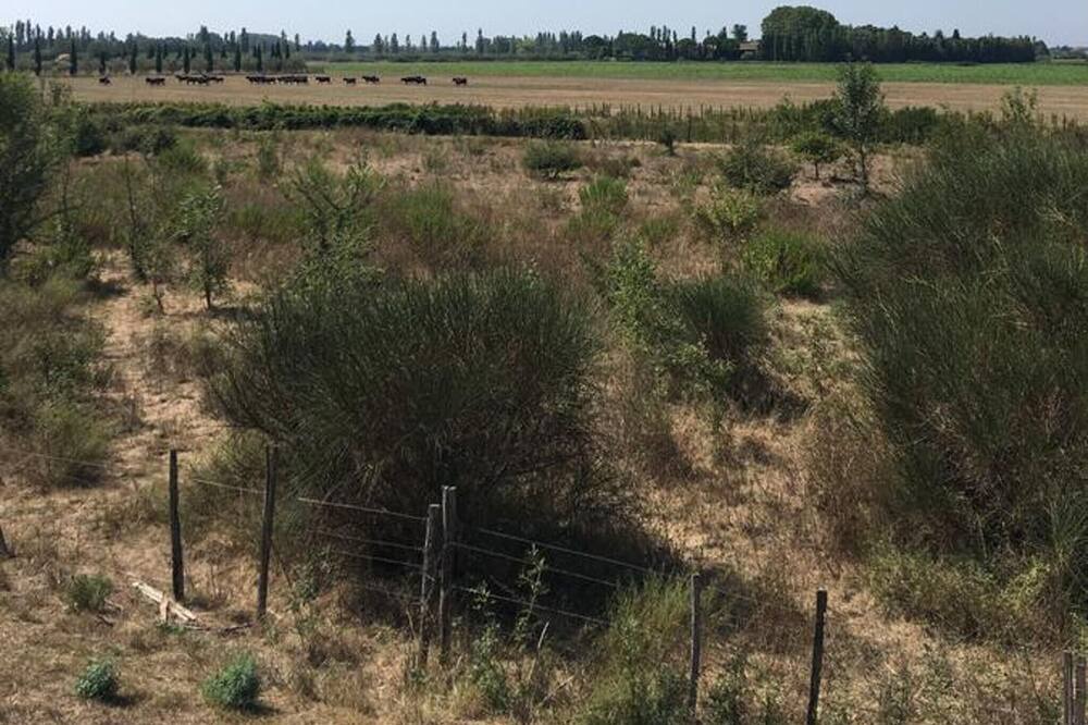 Photo of Outdoor in Marsillargues