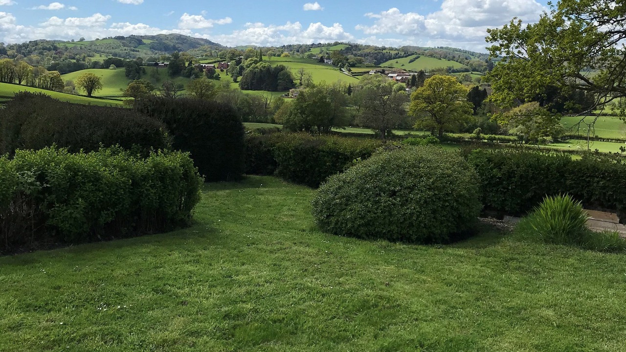 Photo of Others in Kingswood