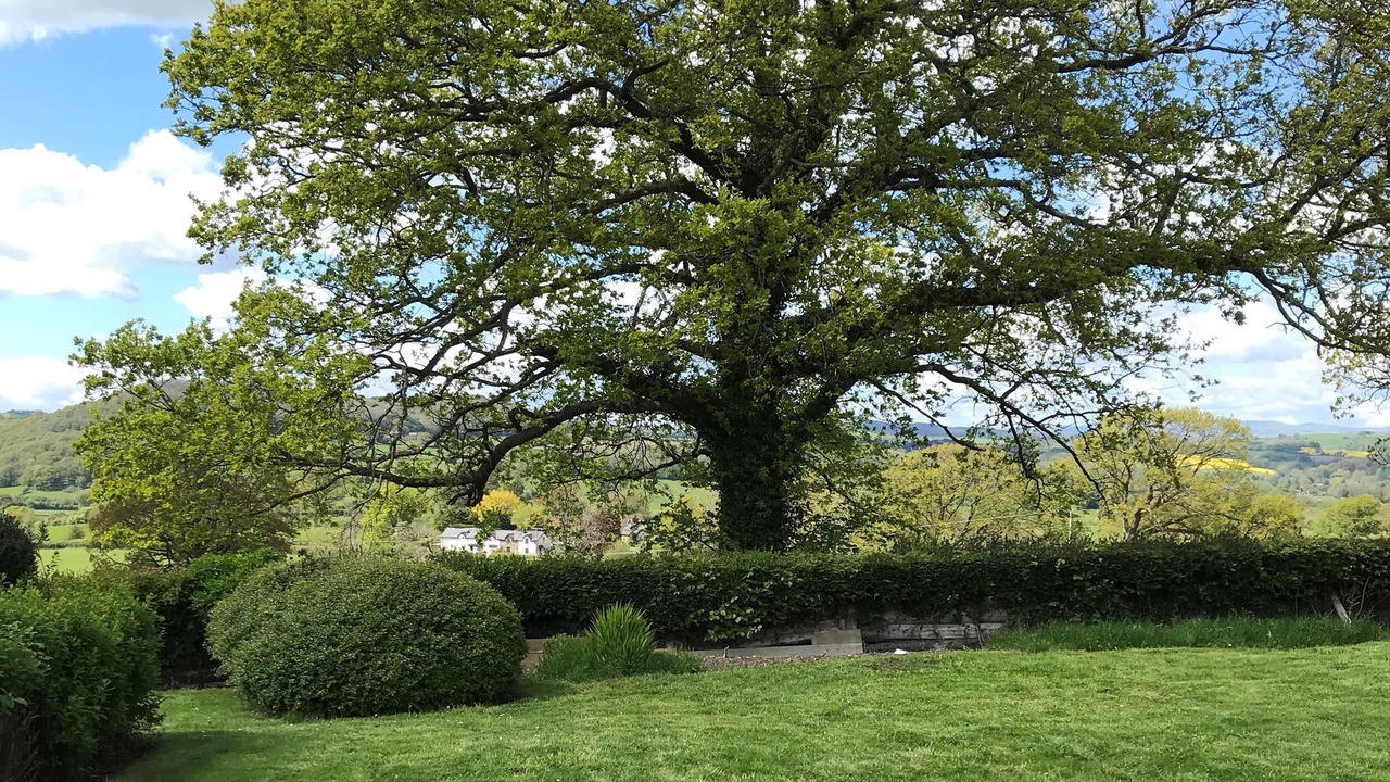 Photo of Others in Kingswood