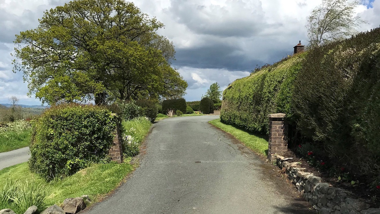 Photo of Others in Kingswood