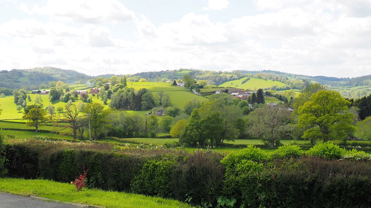 Photo of Others in Kingswood