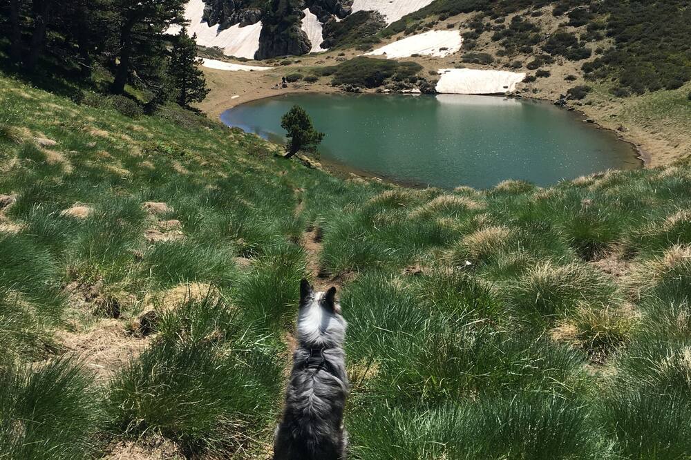 Photo of Others in Escouloubre