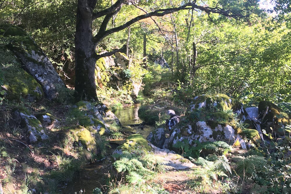 Photo of Outdoor in Escouloubre