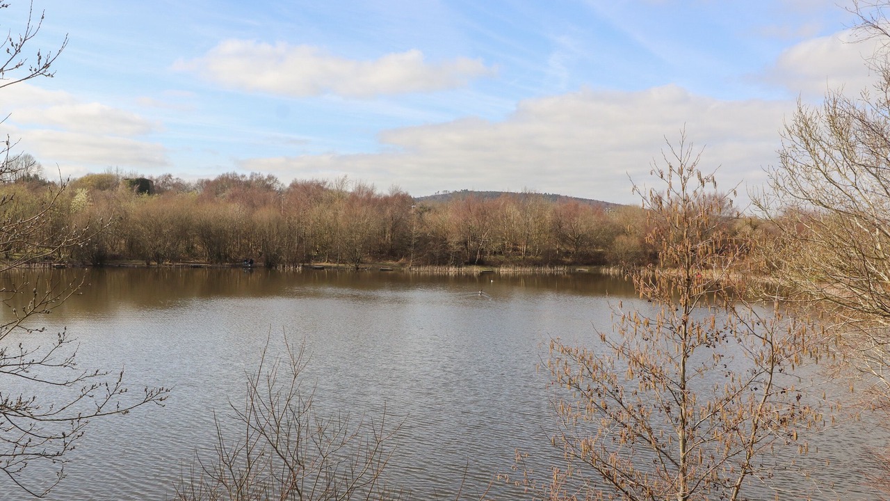 Photo of Others in Brymbo