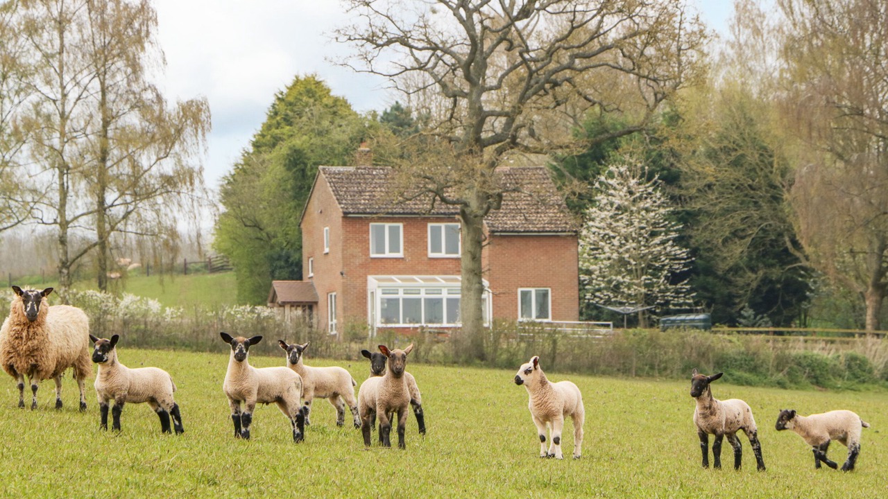 Photo of Others in Little Cowarne