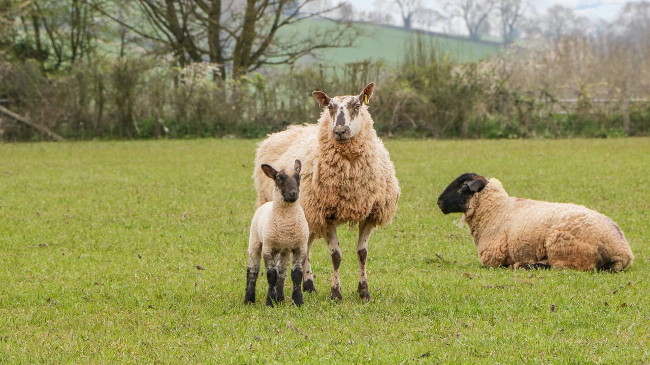 Photo of Others in Little Cowarne