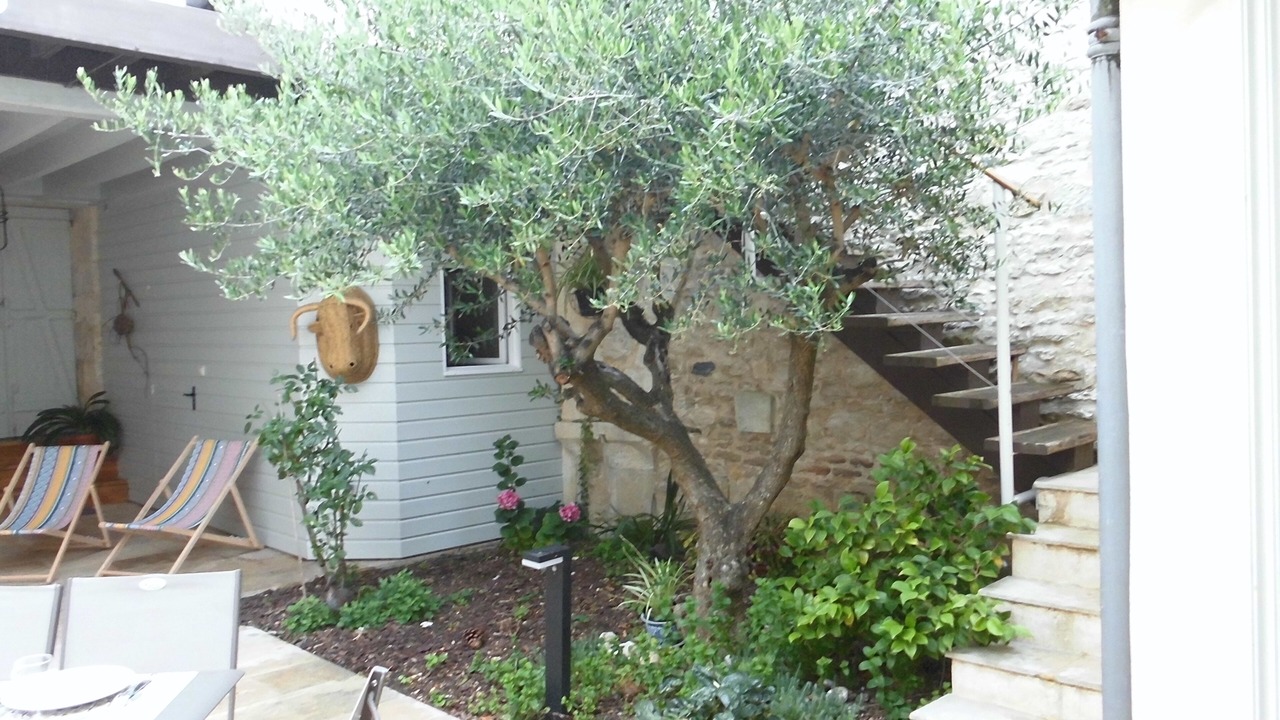 Photo of Outdoor in Marais Poitevin