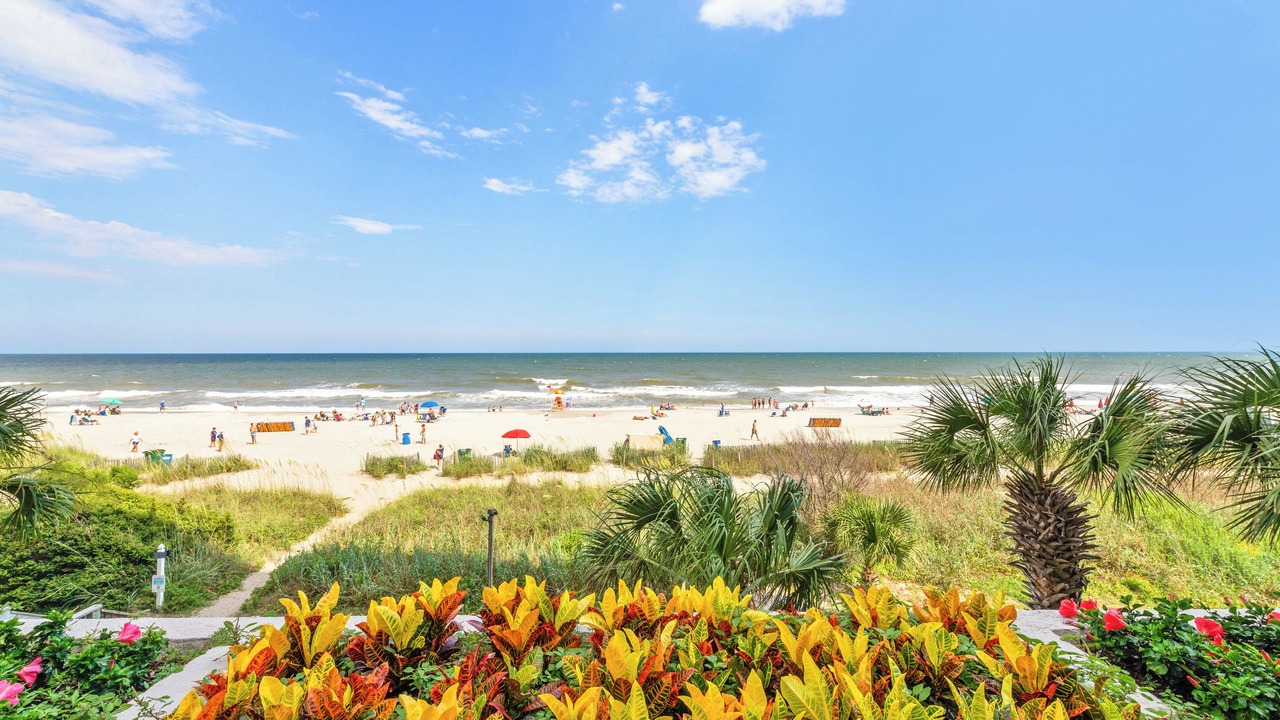 Photo of Outdoor in Myrtle Beach