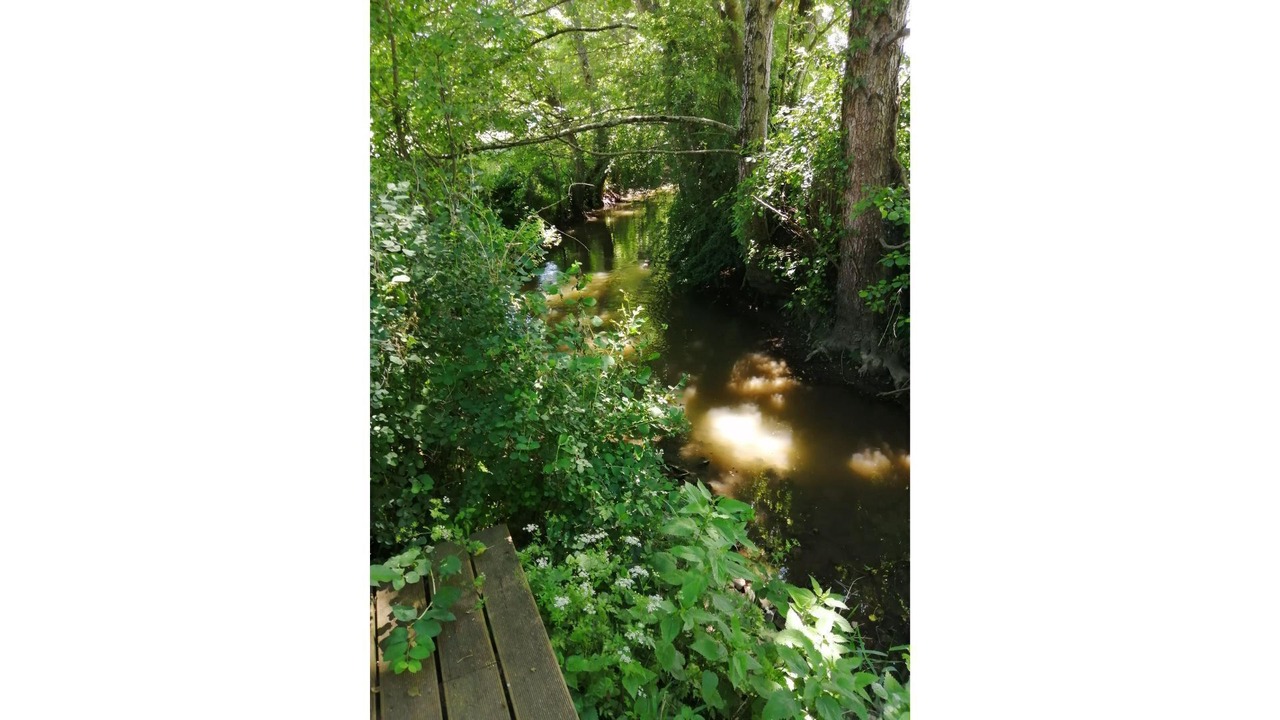 Photo of Outdoor in Sarzay