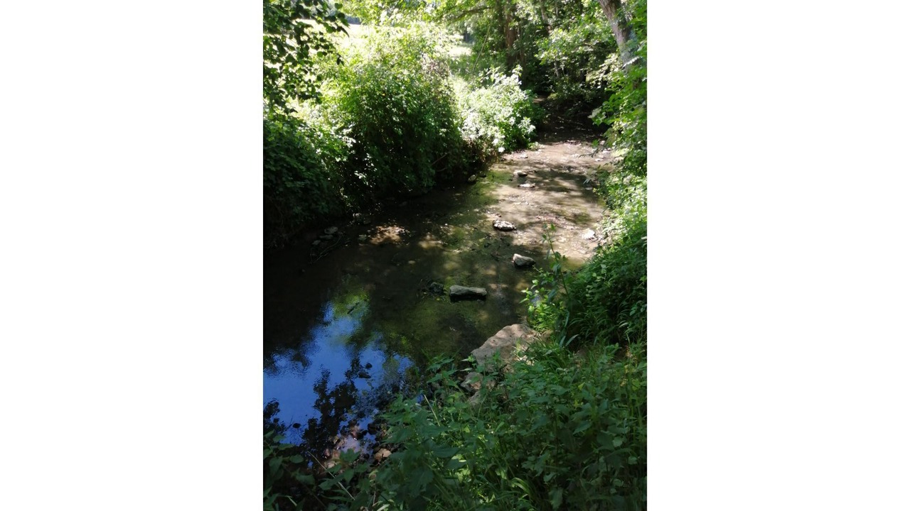 Photo of Outdoor in Sarzay