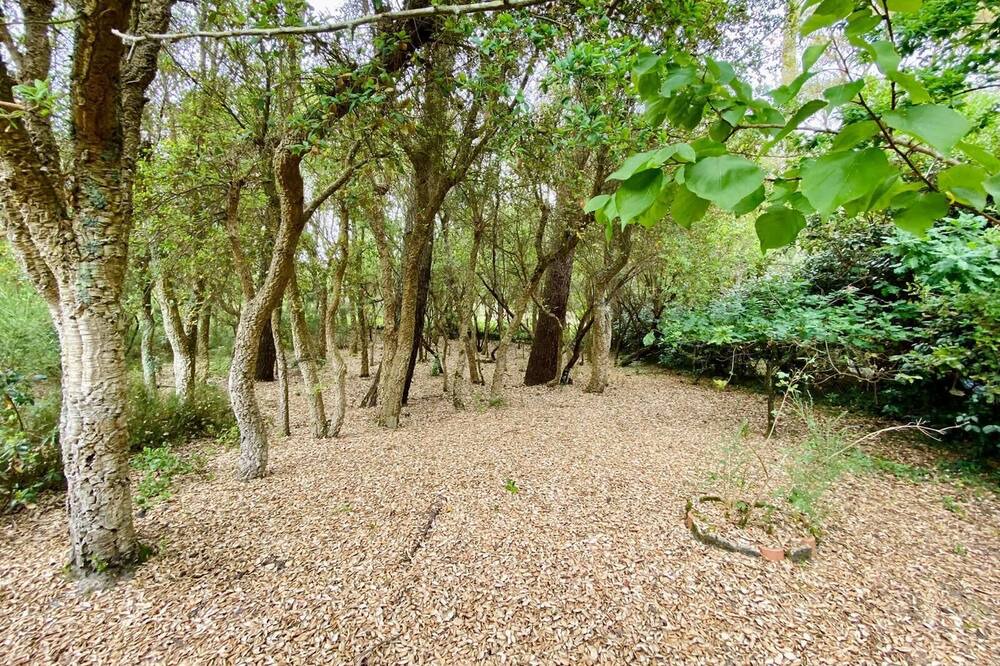 Photo of Outdoor in Le Penon