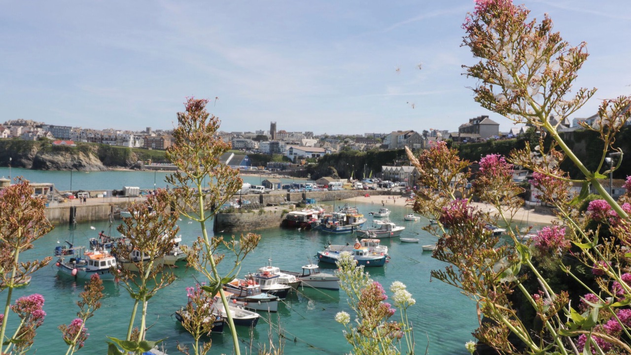 Photo of Others in Saint Columb Major