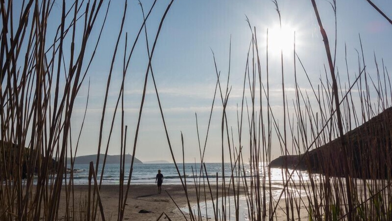 Photo of Others in Treator