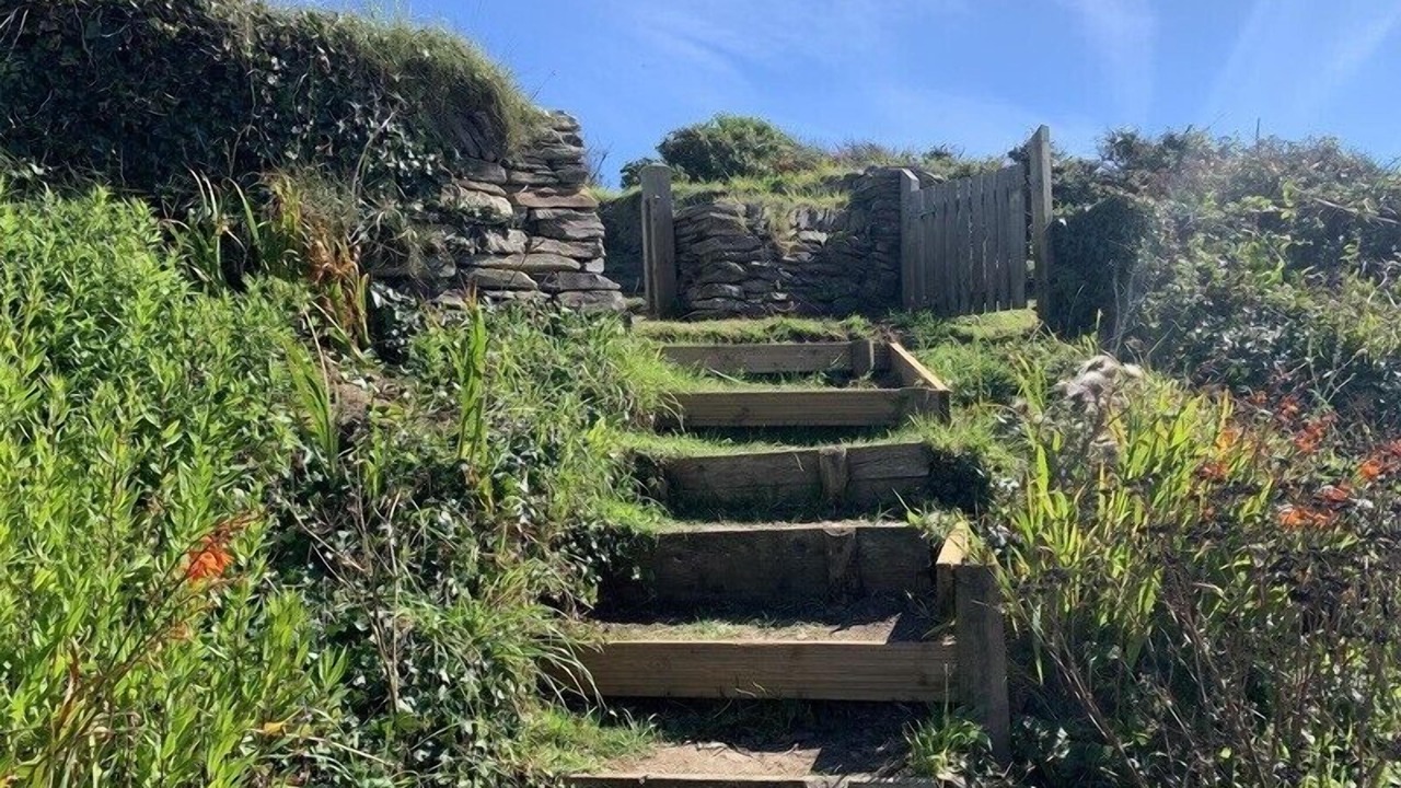 Photo of Others in Treator