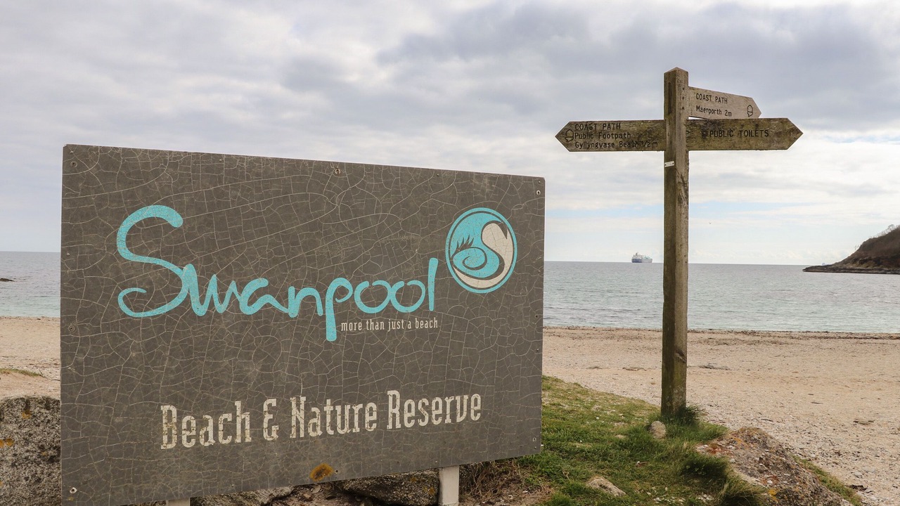 Photo of Others in Maenporth