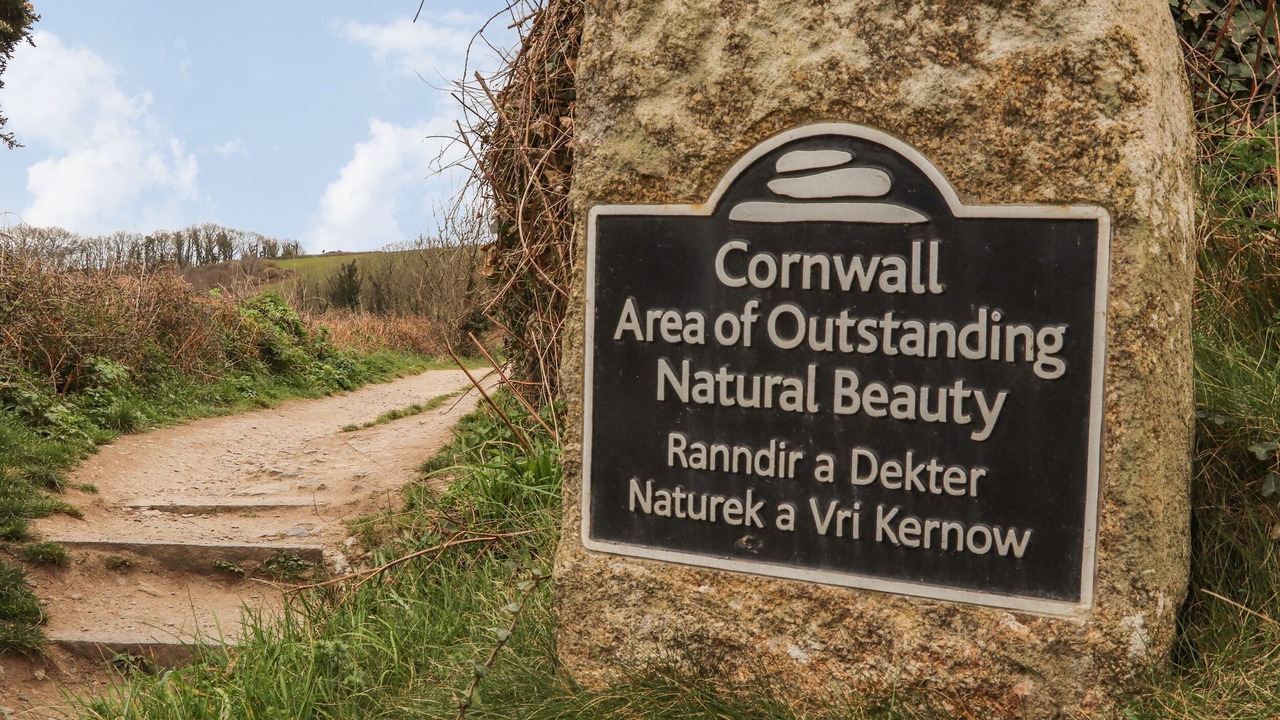 Photo of Others in Maenporth