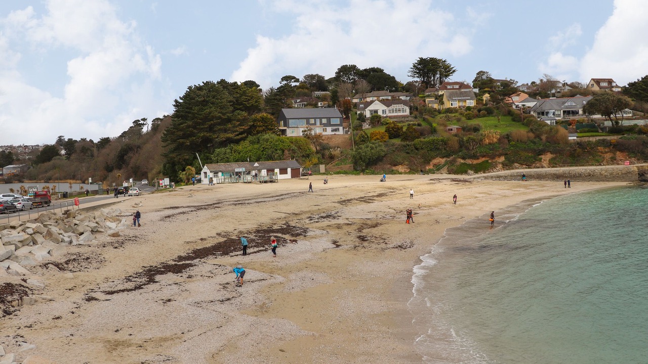 Photo of Others in Maenporth