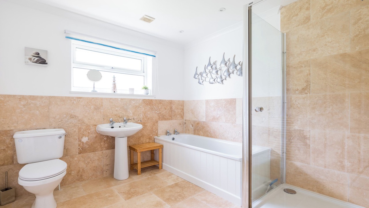 Photo of Others in Rock