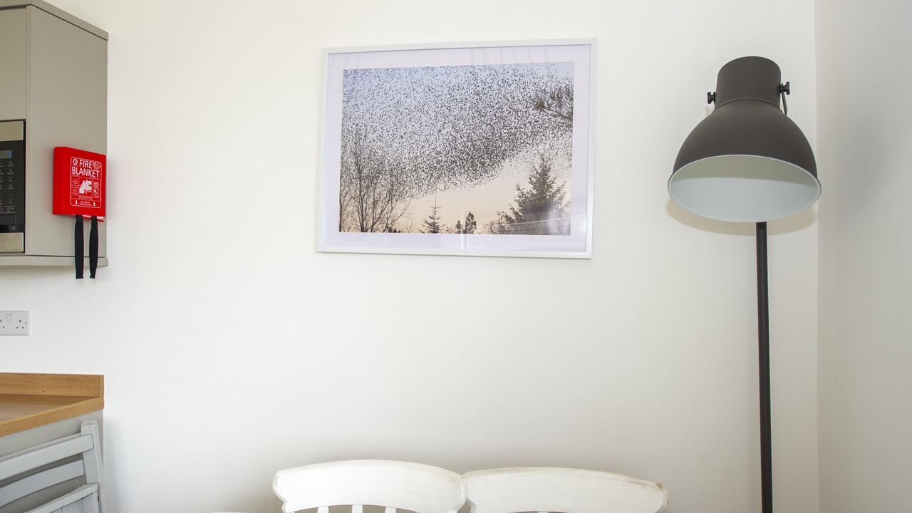 Photo of Others in Wedmore