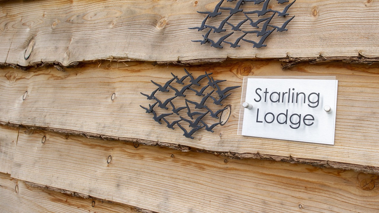 Photo of Others in Wedmore