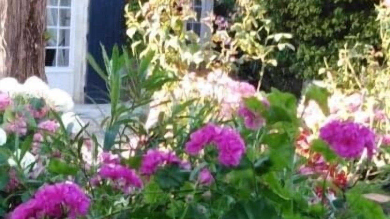 Photo of Outdoor in Saint-Antoine-de-Breuilh