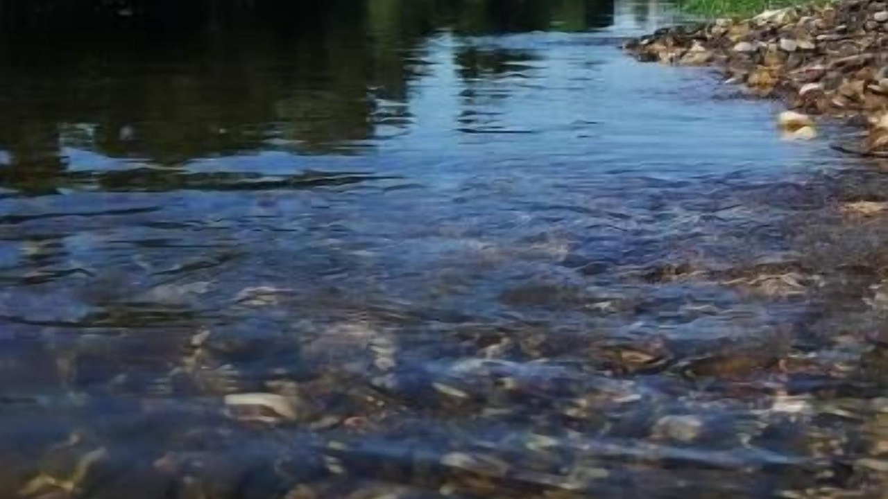 Photo of Outdoor in Saint-Antoine-de-Breuilh