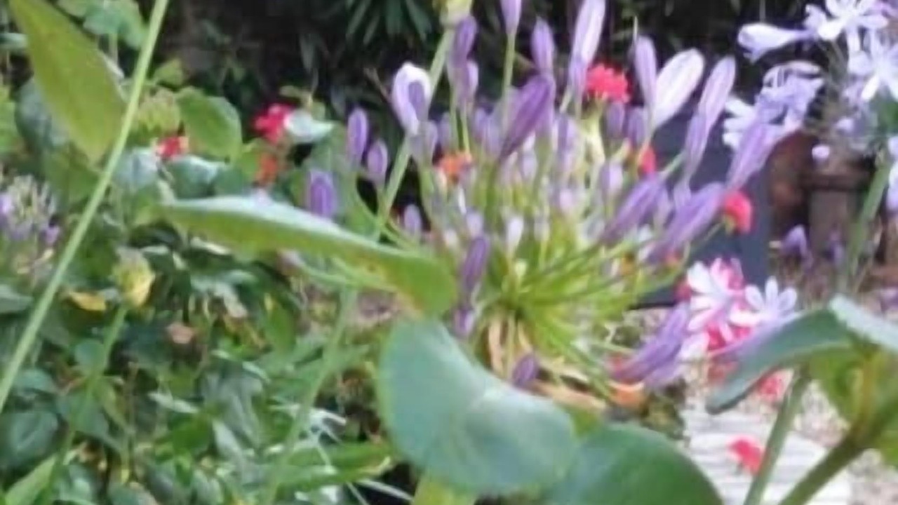 Photo of Outdoor in Saint-Antoine-de-Breuilh