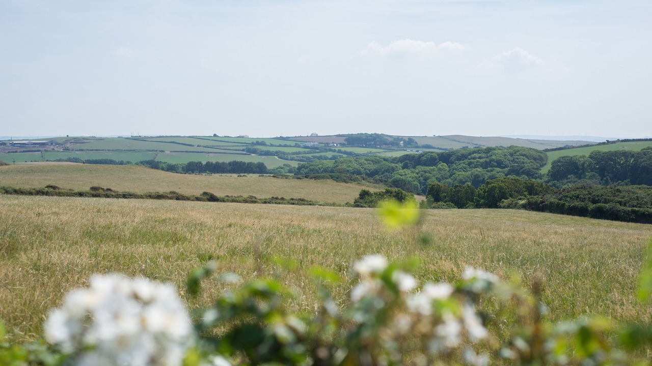 Photo of Others in Polzeath