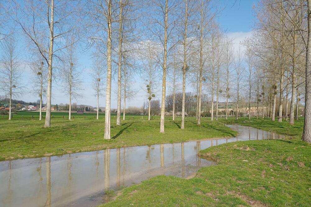 Photo of Outdoor in Moyenneville