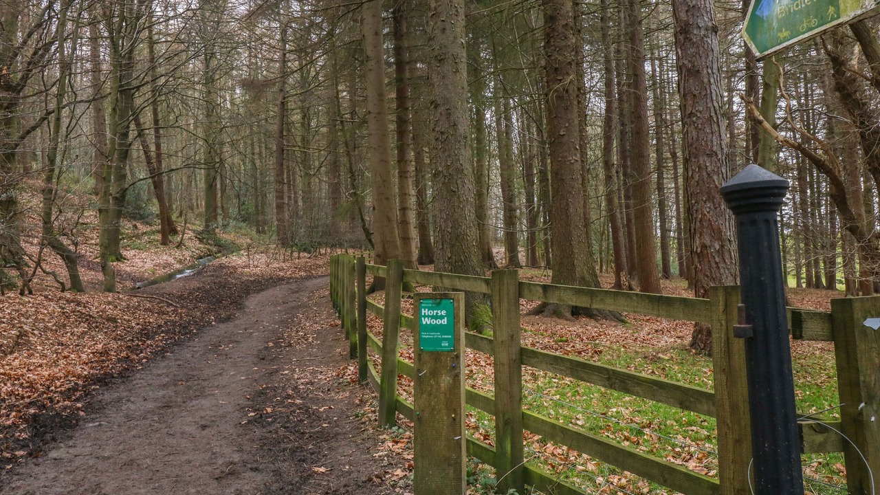 Photo of Others in Hoylandswaine