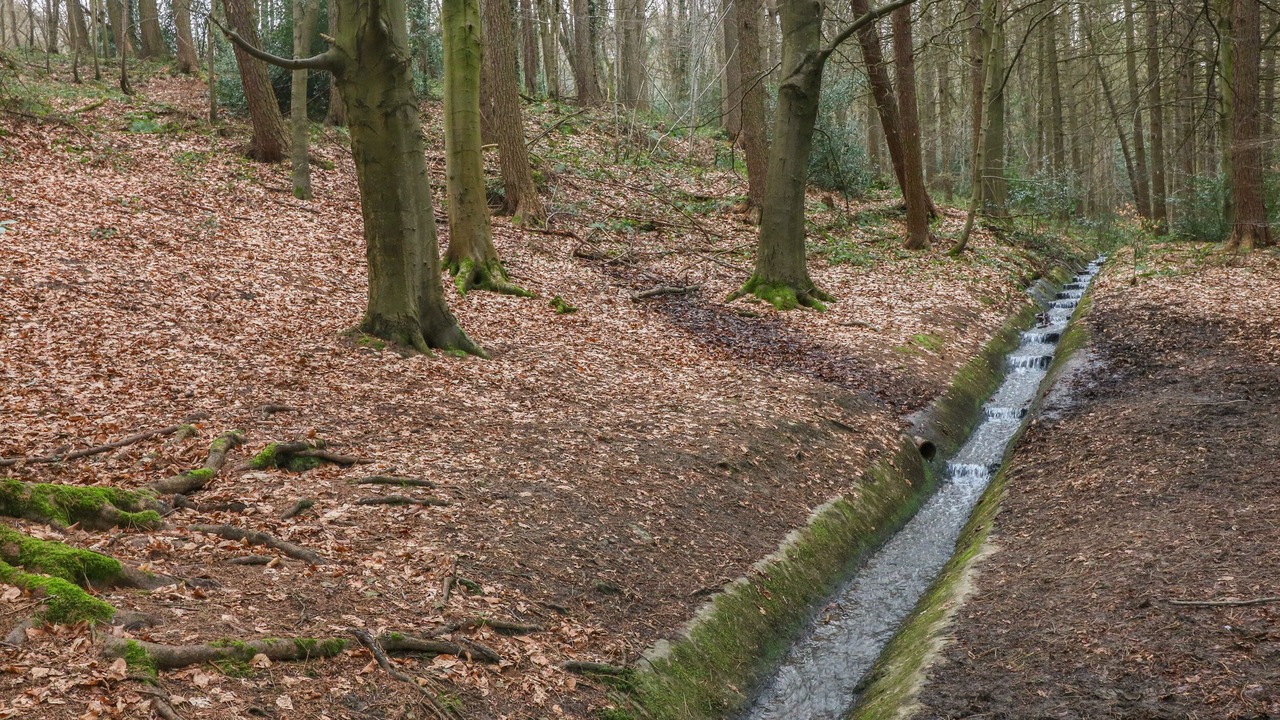 Photo of Others in Hoylandswaine