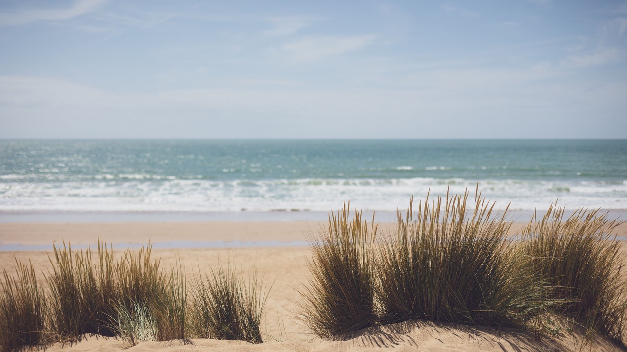 Photo of Others in La Tranche-sur-Mer