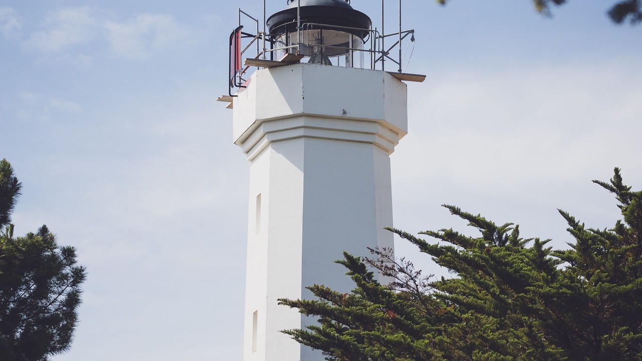 Photo of Others in La Tranche-sur-Mer