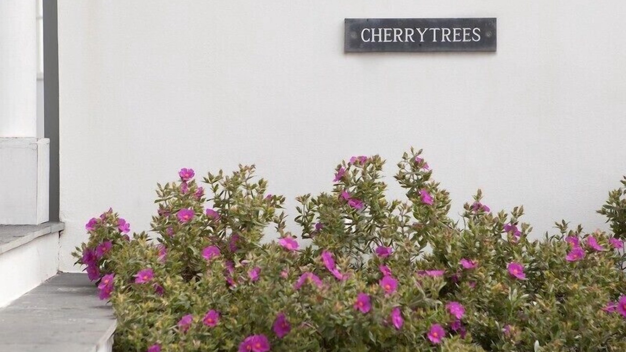 Photo of Others in Rock