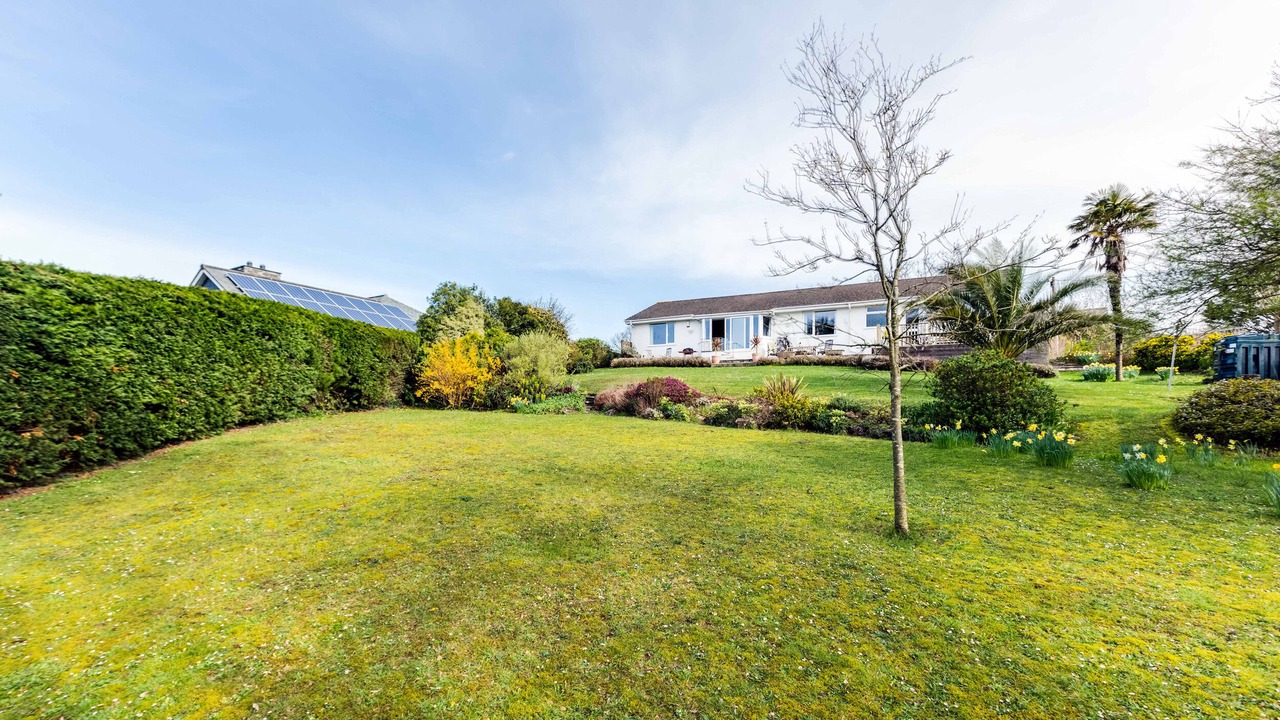 Photo of Others in Rock