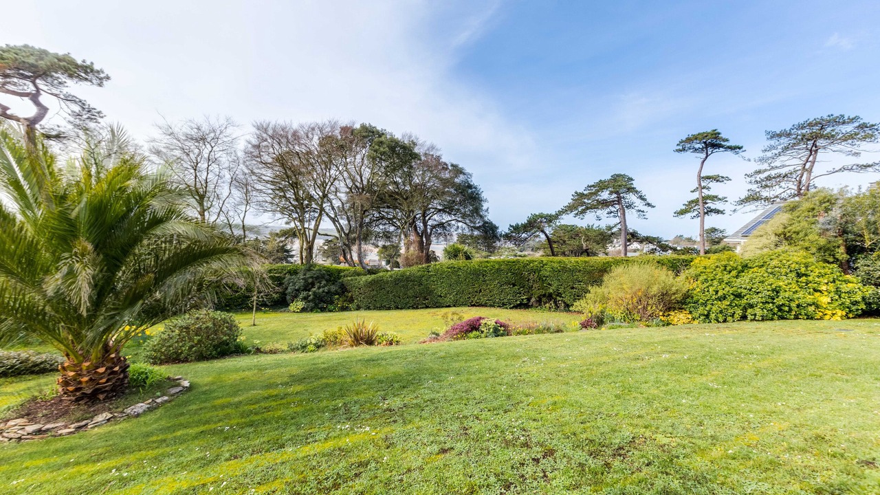 Photo of Others in Rock