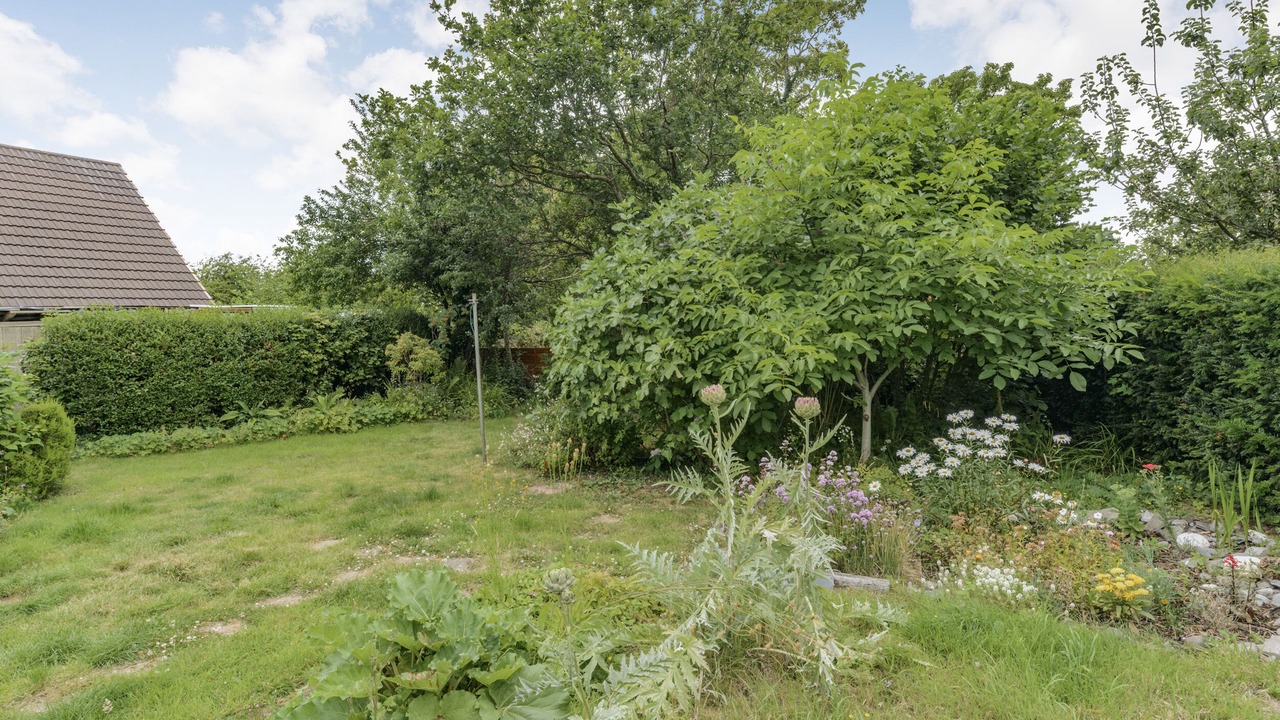 Photo of Others in Tre Taliesin